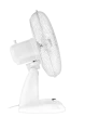 photo_11987.png