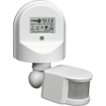 Vorel 83123(1).png